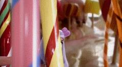 post-35528-1292039471_thumb.gif