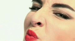 post-35528-1293248609_thumb.gif