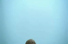 post-35528-1293249052_thumb.gif