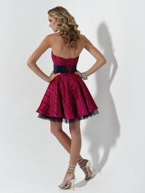 p5542_hotberrypinkplaid_back.jpg