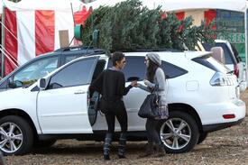 HalleBerrygetsaChristmasTreeinBeverlyHills7.12.2010_10.jpg