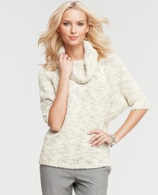 Ann_Taylor_Nov_2011_New_Arrivals_6.jpg