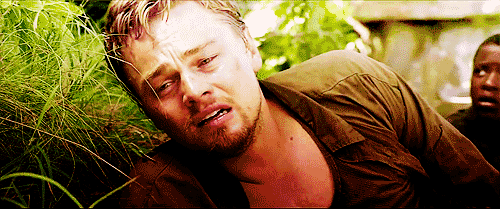 tumblr_lqwzeodqXU1qai37ho2_500.gif