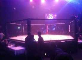 cage fighting.jpg