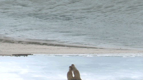 post-54997-0-1445982973-48722_thumb.gif