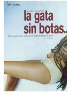 post-31427-0-77199900-1354355659_thumb.j