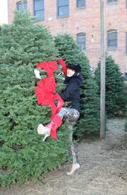 Bai Ling christmas tree shopping in Hollywood 20.12.2012_18.jpg