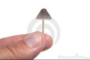 post-21861-0-1445997351-70192_thumb.jpg