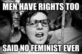 feminist-meme15.jpg