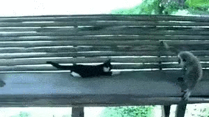 PVQjQiA.gif