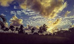 566d509b396c8_Barbados2.thumb.jpg.800af6