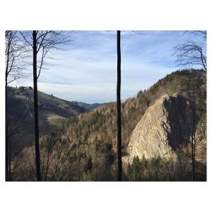 5684f0abcb779_SchwarzwaldGermany.thumb.j