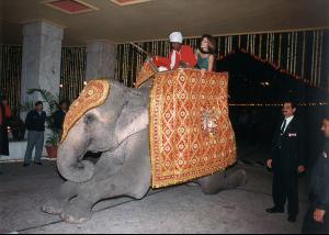 csm_20151201_Cindy_enjoys_an_elephant_ride_at_the_Taj_Palace_Hotel_in_New_Delhi_1998_a626e484cf.jpg