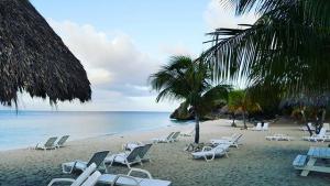 56a267025ef93_Curacao1.thumb.jpg.5959cd8