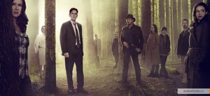 kinopoisk.ru-Wayward-Pines-2593495.thumb