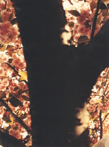 03.jpg