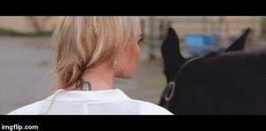 51.gif