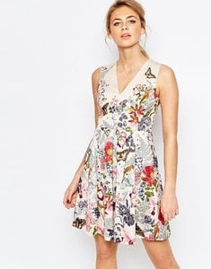 image1xxl.jpg