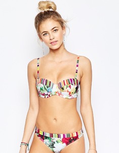 image1xxl.jpg