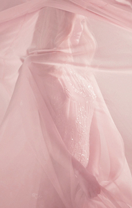 rose_col3lig1-1.jpg