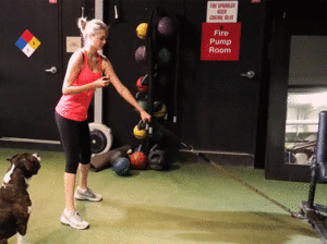 Kate-Upton-1-Arm-Sled-Rows-(while-eating-a-donut!).gif