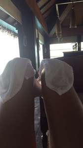 toeknees7_1460606035647.jpg