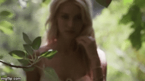 114.gif