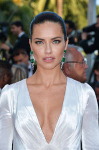 Adriana-Lima--Julieta-Premiere-at-2016-Cannes-Film-Festival--07.jpg