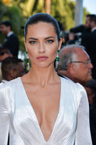 Adriana-Lima--Julieta-Premiere-at-2016-Cannes-Film-Festival--13.jpg