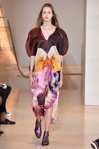christopher kane resort 2017.jpg