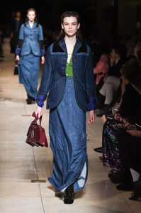 Miu+Miu+Fall+2016+wirI1vo_f9ax 0.jpg