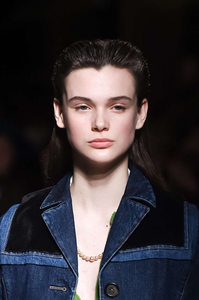 Miu+Miu+Fall+2016+wirI1vo_f9ax 4.jpg