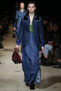 Miu+Miu+Fall+2016+wirI1vo_f9ax 5.jpg