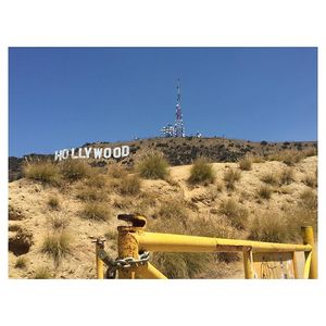 LA Hollywood.jpg