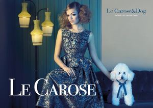 Audre Favardin le carose.jpg