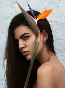 His-Laboratory_Exchange-Renata-Guerra-2.jpg