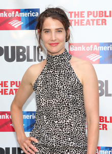 cobie-smulders-how-i-met-your-mother-heads-to-the-public-114958.jpg