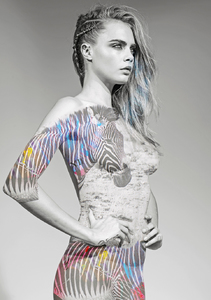 model-cara-zebra-1.jpg