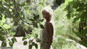 115.gif