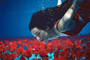 Shu Qi Kenzo 2013.jpg