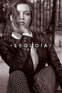 Joy Hellinga - sequoia.jpg