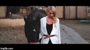 64.gif
