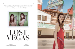 abfbcd730c99ab9f-LostVegascoverpage.png