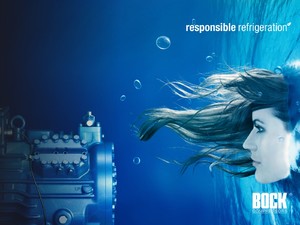 Bock_Wallpapers_Responsible_Refrigeration_Wasser_1600x1200.jpg