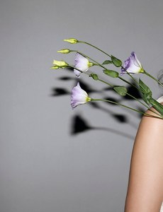 103.jpg