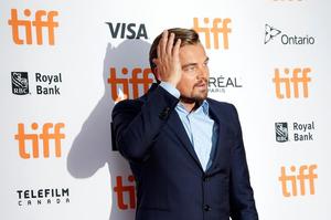 tiff (4).jpg
