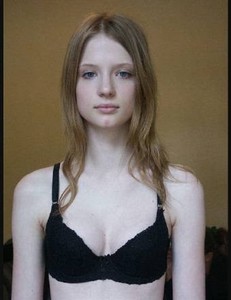 9245213.jpg