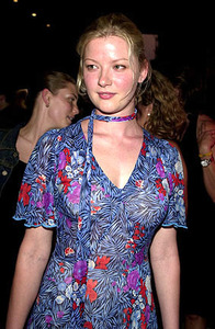 Gretchen_Mol_5_party.jpg