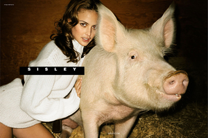 sisley-02.jpg