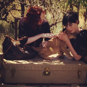 ediebcampbell_lv2014_lion_cub.jpg